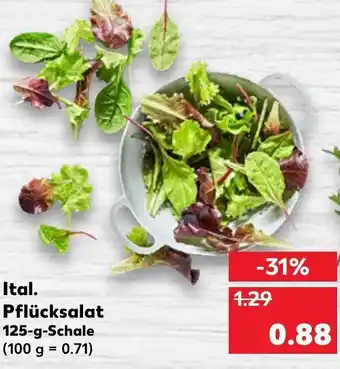 Kaufland Ital. Pflücksalat 125g Schale Angebot