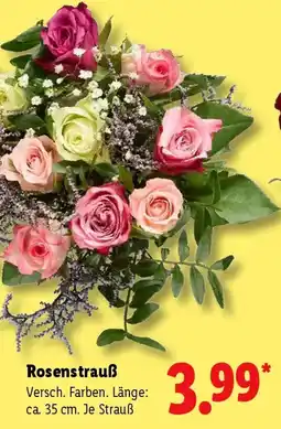 Lidl Rosenstrauß Angebot