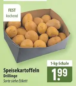 Famila Nord Ost Speisekartoffeln Drillinge Angebot