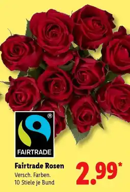 Lidl Fairtrade Rosen Angebot