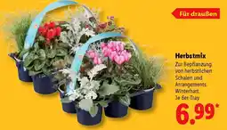 Lidl Herbstmix Angebot