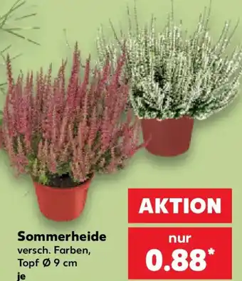 Kaufland Sommerheide Angebot