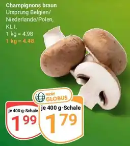 Globus Champignons braun Angebot