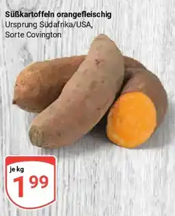 Globus Süßkartoffeln orangefleischig Angebot