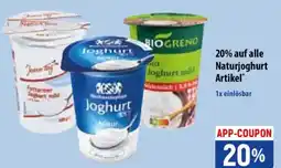 Famila Nord Ost Naturjoghurt Angebot