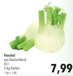 CITTI Markt Fenchel Angebot