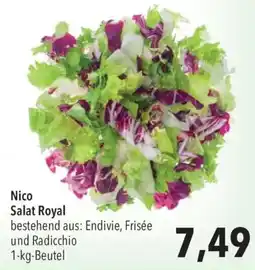 CITTI Markt Nico Salat Royal Angebot