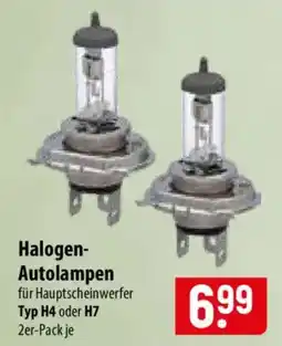 Famila Nord Ost Halogen-Autolampen Angebot