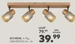 porta SCHIENE, 4-flg., L56x12x12,5 cm .03 Angebot