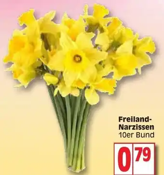 Edeka Freiland Narzissen Angebot