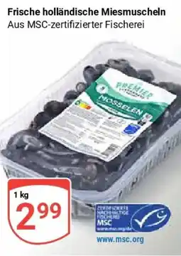 Globus Frische holländische Miesmuscheln Angebot
