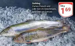 Globus Saibling Angebot
