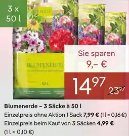 Pflanzen Kölle Blumenerde Angebot