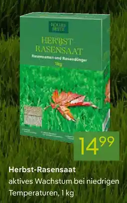 Pflanzen Kölle Herbst-Rasensaat Angebot