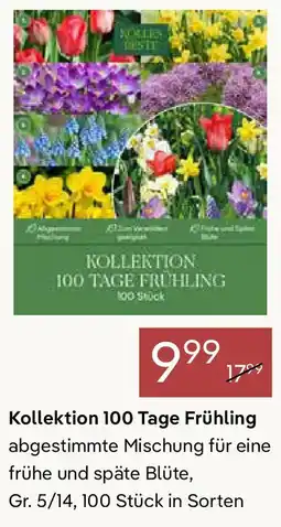 Pflanzen Kölle Kollektion 100 Tage Frühling Angebot