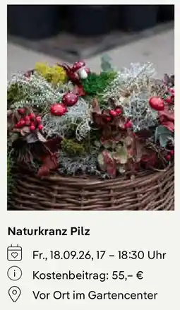 Pflanzen Kölle Naturkranz Pilz Angebot