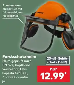 Kaufland Parkside Forstschutzhelm Angebot