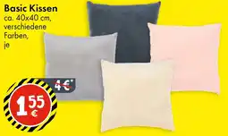 TEDi Basic Kissen Angebot