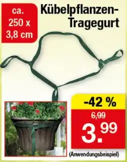Zimmermann Kübel pflanzen-Tragegurt Angebot