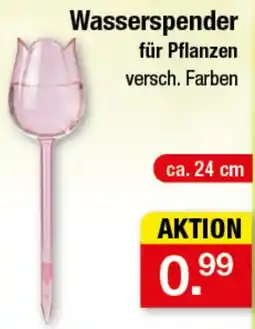 Zimmermann Wasserspender für Pflanzen Angebot