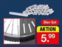 Zimmermann 36er-Set Angebot
