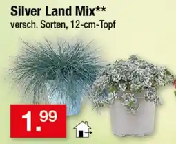 Zimmermann Silver Land Mix** Angebot