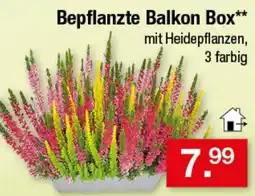 Zimmermann Bepflanzte Balkon Box** Angebot
