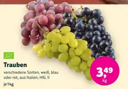 Aleco Biomarkt Trauben Angebot