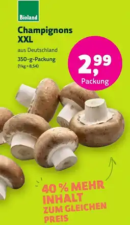 Aleco Biomarkt Bioland Champignons XXL Angebot
