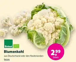 Aleco Biomarkt Bioland Blumenkohl Angebot