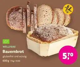 Aleco Biomarkt WELLPANE Bauernbrot Angebot