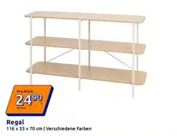 Action Regal Angebot