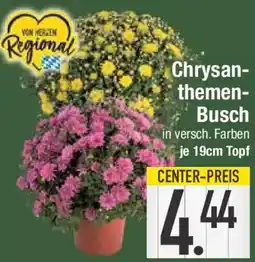 E-Center Chrysanthemen-Busch Angebot