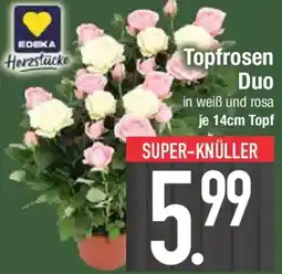 E-Center Topffrosen Duo Angebot