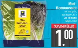 E-Center Mini Romanasalat Angebot