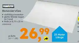 Globus Baumarkt Primaster Renoviervlies Angebot