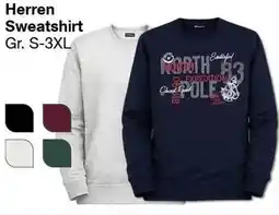 Woolworth Herren Sweatshirt Angebot