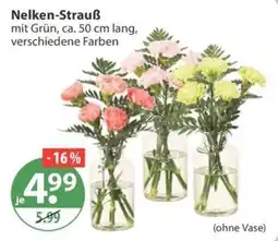 V Markt Nelken-Strauß Angebot