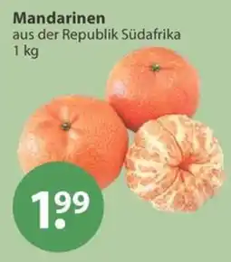 V Markt Mandarinen Angebot