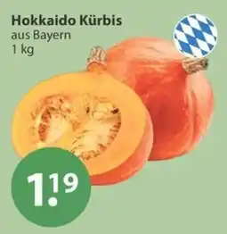 V Markt Hokkaido Kürbis Angebot