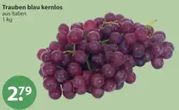 V Markt Trauben blau kernlos Angebot
