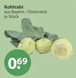 V Markt Kohlrabi Angebot