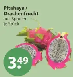 V Markt Pitahaya / Drachenfrucht Angebot