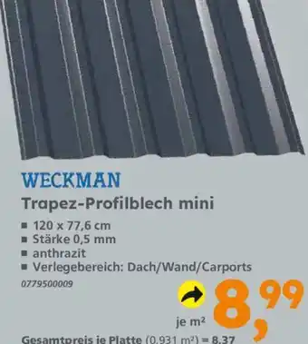Globus Baumarkt WECKMAN Trapez-Profilblech mini Angebot