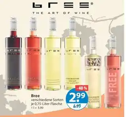 V Markt Bree Angebot