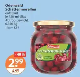V Markt Odenwald Schattenmorellen Angebot