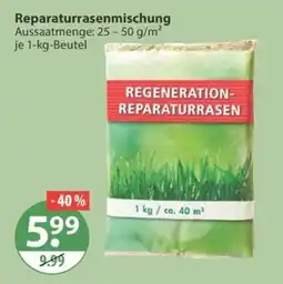 V Markt REGENERATION-REPARATURRASEN Angebot
