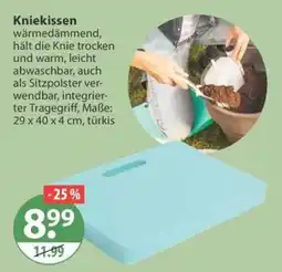 V Markt Kniekissen Angebot