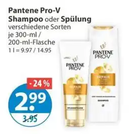 V Markt Pantene Pro-V Shampoo oder Spülung Angebot