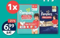V Markt Pampers baby-dry pants Angebot